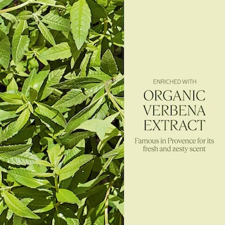 Foto 3 | Foto 3 | Jabón L'occitane Manteca De Karité Extrasuave Con Verbena Cítrica, 250 Ml - Venta Internacional.