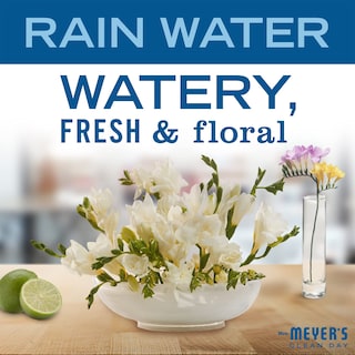 Foto 2 | Foto 2 | Jabón En Barra Mrs. Meyer's Clean Day Rain Water 150 Ml, 1 Barra - Venta Internacional.
