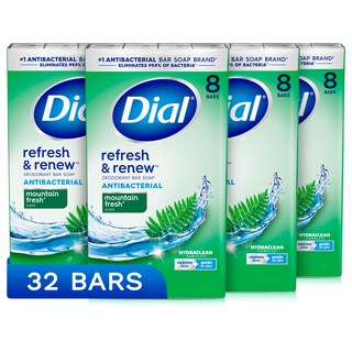 Foto 1 | Foto 1 | Dial De Jabón Antibacteriano Refresh & Renew Mountain Fresh, 4 Onzas X 32 - Venta Internacional.