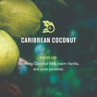 Foto 2 | Foto 2 | Coco Tropical Caribeño Procesado En Frío De Soap Every Man Jack - Venta Internacional.