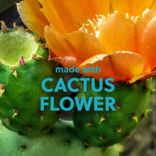 Foto 4 | Foto 4 | Exfoliante Con Azúcar Y Karité Tree Hut Desert Haze, 530 Ml, Ultrahidratante - Venta Internacional.