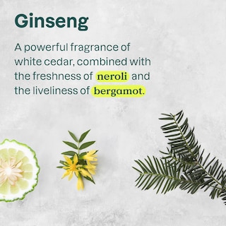 Foto 4 | Foto 4 | Crema Corporal Attitude Hidratue Para Piel Seca Vegana 240 Ml X6 - Venta Internacional.