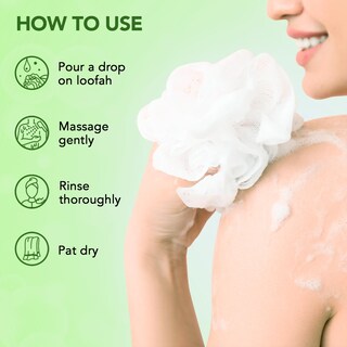 Foto 6 | Foto 6 | Gel De Baño Botanic Hearth Tea Tree, 473 Ml, Alivia La Picazón En La Piel, 2 Veces - Venta Internacional.