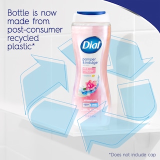 Foto 5 | Foto 5 | Gel De Baño Dial Pamper & Indulge Silk & Magnolia 946 Ml - Venta Internacional.