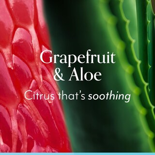 Foto 2 | Foto 2 | Loción Corporal Bliss Con Pomelo Y Aloe, 200 Ml, Máxima Hidratación - Venta Internacional.