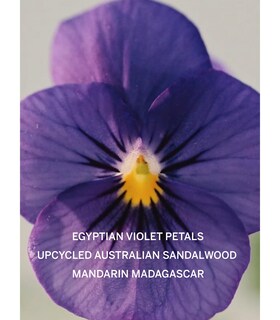 Foto 3 | Foto 3 | Loción Corporal Victoria's Secret Bare Fragrance Para Mujer 250 Ml - Venta Internacional.