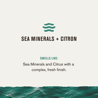 Foto 4 | Foto 4 | Gel De Baño Every Man Jack Nourishing Sea Minerals + Citron 720 Ml - Venta Internacional.