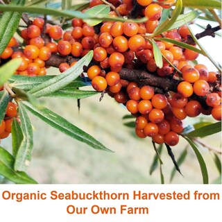 Foto 5 | Foto 5 | Aceite De Semillas De Espino Amarillo Seabuckwonders 13,3 Ml 100% Orgánico - Venta Internacional.