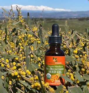 Foto 6 | Foto 6 | Aceite De Semillas De Espino Amarillo Seabuckwonders 13,3 Ml 100% Orgánico - Venta Internacional.