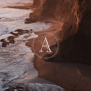 Foto 7 | Foto 7 | Loción Hidratante Archipelago Botanicals Botanico De Havana - Venta Internacional.