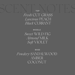 Foto 4 | Foto 4 | Crema Hidratante Corporal Antica Farmacista Green Fig Leaf 300ml - Venta Internacional.