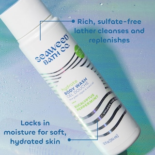 Foto 4 | Foto 4 | Gel De Baño Seaweed Bath Co. Hidrata Eucalipto Y Menta 355 Ml - Venta Internacional.