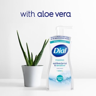 Foto 5 | Foto 5 | Dial De Lavado A Mano Antibacteriano Y Sensible, 221 Ml (paquete De 6) - Venta Internacional.