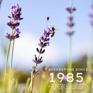 Foto 2 | Foto 2 | Crema De Manos Jurlique Lavender 125ml - Venta Internacional.