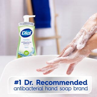 Foto 2 | Foto 2 | Hand Wash Dial Antibacteriano Fresh Pear 221 Ml (paquete De 6) - Venta Internacional.