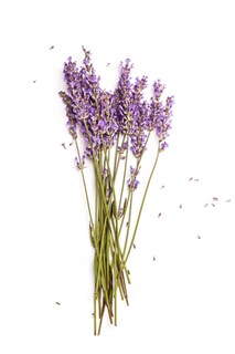 Foto 3 | Foto 3 | Loción De Manos Bondi Wash Con Pimienta De Tasmania Y Lavanda 500 Ml - Venta Internacional.