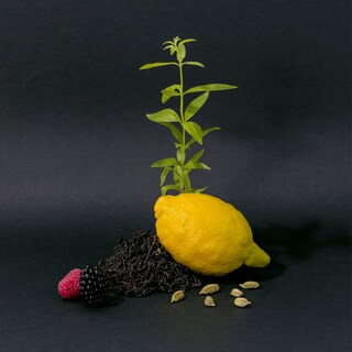 Foto 7 | Foto 7 | Crema De Manos La Compagnie De Provence Té Negro 300ml - Venta Internacional.