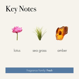 Foto 4 | Foto 4 | Jabón Líquido Lafco New York Sea & Dune 355ml Regenerate - Venta Internacional.