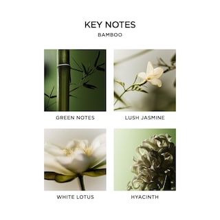 Foto 3 | Foto 3 | Set De Jabón Líquido Nest New York Bamboo Pomelo Ocean 300 Ml - Venta Internacional.