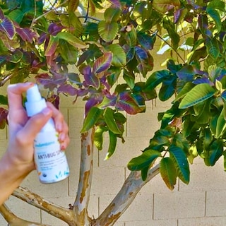 Foto 5 | Foto 5 | Aerosol Repelente De Insectos Mambino Organics 80 Ml Sin Deet - Venta Internacional.