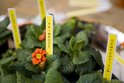 Foto 6 | Foto 6 | Label Maker Brother P-touch Ptd400ad Con Adaptador Ac, Color Blanco - Venta Internacional.