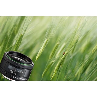 Foto 2 | Foto 2 | Lente Pentax Hd Pentax-fa 50 Mm F1.4 Para Réflex Digital Con Montura K - Venta Internacional.