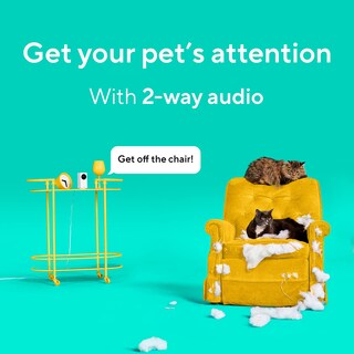 Foto 6 | Foto 6 | Cámara Para Mascotas Wyze Cam Pan V2 360° Con Aplicación De Teléfono Ptz, Paquete De 2 - Venta Internacional.