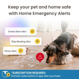 Foto 4 | Foto 4 | Cámara Para Mascotas Furbo Mini New + Nanny Bundle Con Home Security - Venta Internacional.