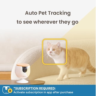 Foto 6 | Foto 6 | Cámara Para Mascotas Furbo Mini New + Nanny Bundle Con Home Security - Venta Internacional.