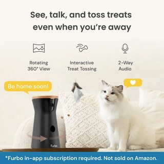 Foto 2 | Foto 2 | Paquete Cat Camera Furbo 360° + Nanny Con Alertas De Seguridad Para El Hogar - Venta Internacional.