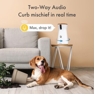 Foto 4 | Foto 4 | Cámara De Seguridad Para El Hogar Furbo Cámara 360° Para Perros Con Lanzamiento De Golosinas - Venta Internacional.