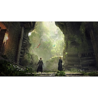 Foto 2 | Foto 2 | Hogwarts Legacy Para Nintendo Switch