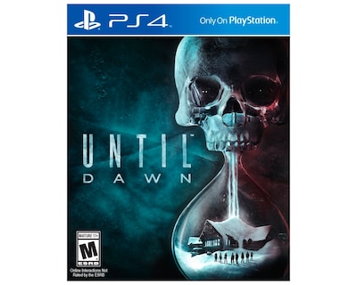 Foto 1 | Foto 1 | Until Dawn para PS4