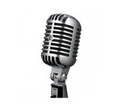 Micrófono Vocal Clásico Shure Modelo 55shserie-ii color Plateado