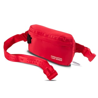 Foto 3 | Foto 3 | Mochila para Laptop 15 Pulgadas más Crossbody Alex Siordia Cool Capital color Rojo