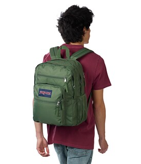 Foto 6 | Foto 6 | Mochila Para Portátil Jansport Big Con 2 Compartimentos Y Manga De 15 Pulgadas, Color Verde - Venta Internacional.