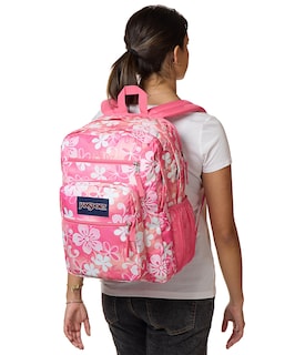 Foto 5 | Foto 5 | Mochila Jansport Grande Para Portátil Con 2 Compartimentos Y Funda De 15 Pulgadas - Venta Internacional.