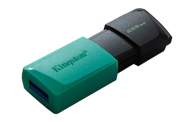 Foto 3 | Foto 3 | Venta Internacional-Memoria Usb Kingston Exodia M 256b Usb 3.2 Gen 1