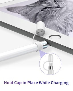 Foto 5 | Foto 5 | Set De Accesorios Compatible Con El Apple Pencil De Primera Generación - Venta Internacional.