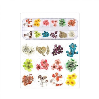 Foto 1 | Foto 1 | Accesorios Para Decoración De Uñas Con Flores Secas Colorful Life 12 Colores - Venta Internacional.