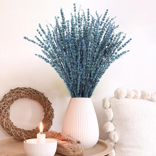 Foto 4 | Foto 4 | Paquetes Preservados De Flores De Lavanda Secas Uieke 100 G - Venta Internacional.