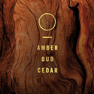Foto 5 | Foto 5 | Ambientador Febreze Origins Fade Defy Plug Wood 26 Ml X3 - Venta Internacional.