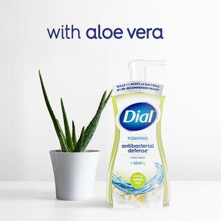 Foto 3 | Foto 3 | Dial De Recambio Para Lavar A Mano, Antibacteriano, Relajante, Té Blanco, 900 Ml X 4 - Venta Internacional.