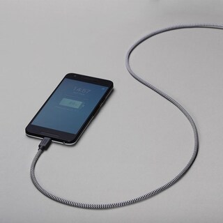 Foto 6 | Foto 6 | Cable USB-A a USB-C Native Union Belt Zebra