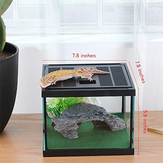 Foto 6 | Foto 6 | Caja De Cristal Para Terrario Para Mascotas Pequeñas, Reptiles Y Anfibios - Venta Internacional.