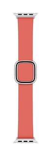 Foto 1 | Foto 1 | Correa para Apple Watch con Hebilla Rosa Cítrica 40 mm - Venta Internacional