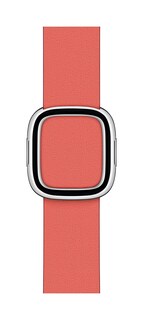 Foto 2 | Foto 2 | Correa para Apple Watch con Hebilla Rosa Cítrica 40 mm - Venta Internacional