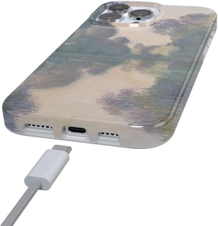 Foto 2 | Foto 2 | Funda De Teléfono Casely Para Iphone 16 Pro Monet's Morning Limited - Venta Internacional.