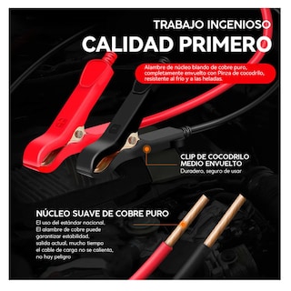 Foto 5 | Foto 5 | Cargador De Baterías 12v Lab.g Rojo