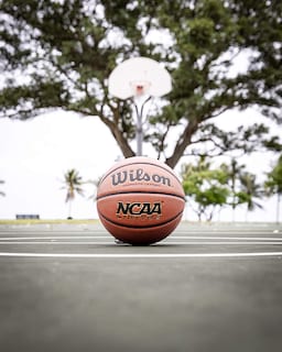 Foto 4 | Foto 4 | Baloncesto Wilson Ncaa Limited, Talla 7, 29,5 Cm, Color Marrón - Venta Internacional.